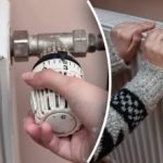 Batterijen worden heter: een ingenieuze truc om radiatoren in een "kachel" te veranderen Batterijen worden heter: een ingenieuze truc om radiatoren in een