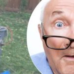 De vreemde vondst bij de boom liet de buurvrouw in