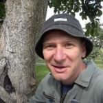 Een holle boom is geen oordeel: een bewezen manier om