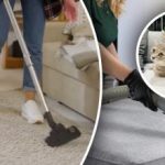 Er blijft geen enkel spoor achter: 7 stappen om urinegeur uit je tapijt te verwijderen Er blijft geen enkel spoor achter: 7 stappen om urinegeur