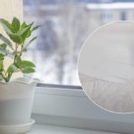 Het resultaat zal je verbazen: een recept voor een middel dat een plastic vensterbank wit maakt Het resultaat zal je verbazen: een recept voor een middel