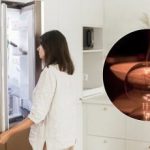 Stroompieken zijn niet langer eng: zo houd je je koelkast