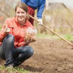 Wat niet te planten na uien: 90% van de tuiniers